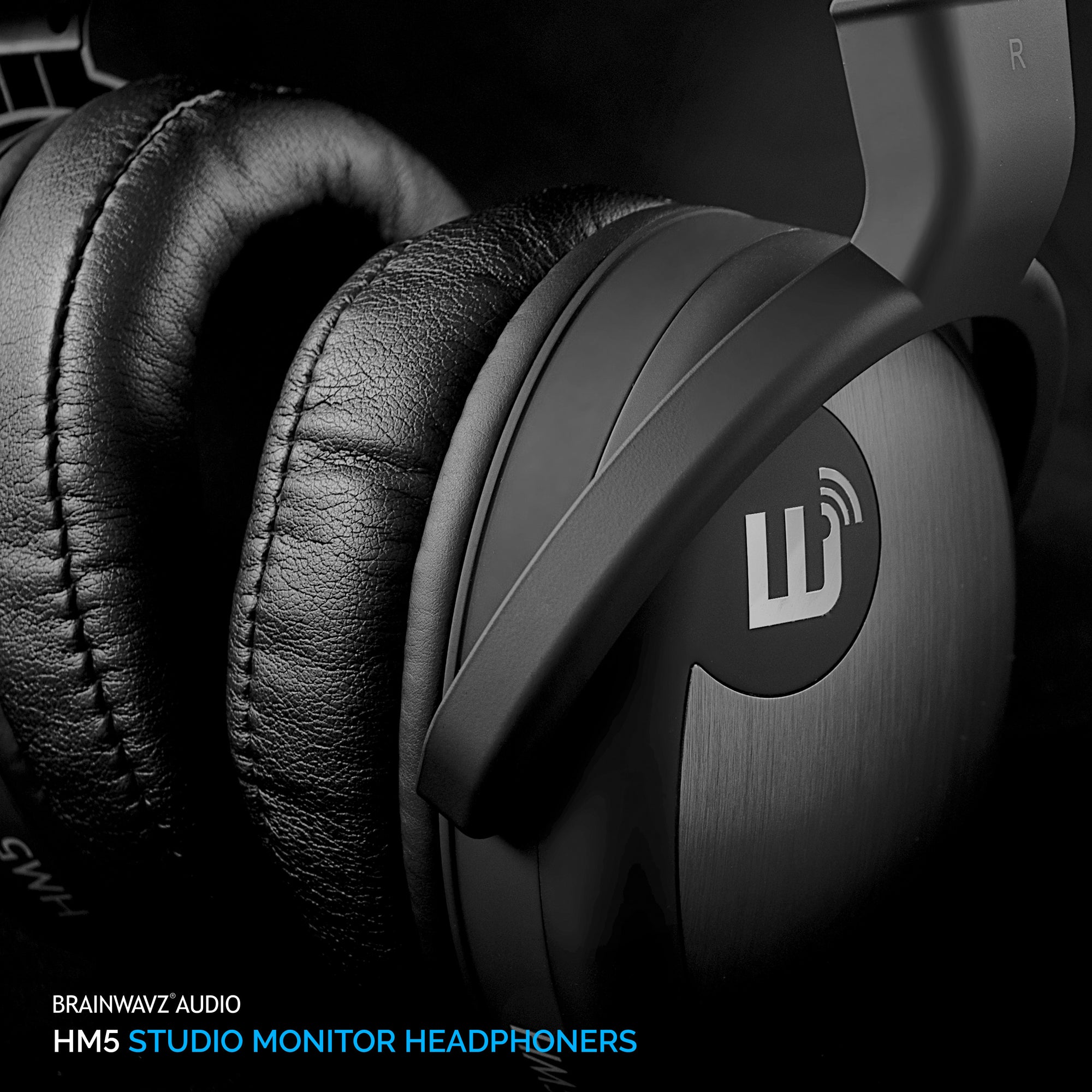<transcy> Casque d & # 39؛ écoute de studio HM5 </transcy>