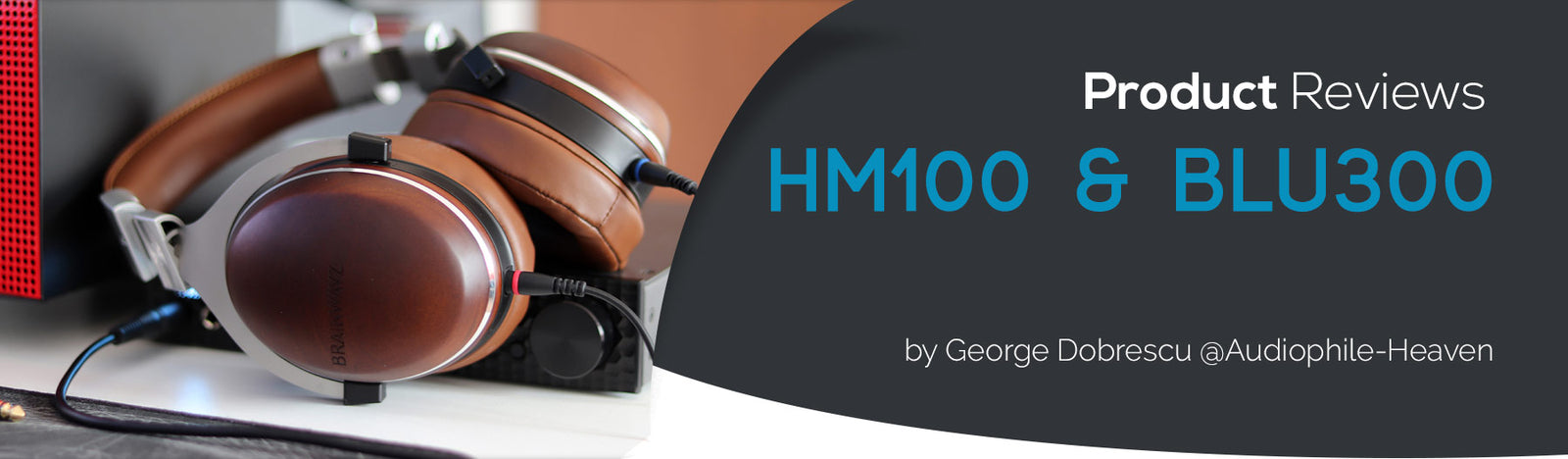 HM100 and BLU300 Review